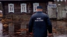 Поставка аналоговых радиостанций Vertex Standard VX-261