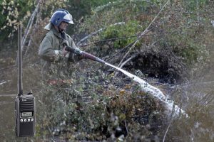 Оснащаем системами связи сотрудников полиции и защитников леса